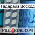 Тадарайз Восход 34